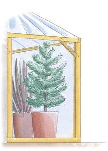 L'Ami des Jardins 1180 PROTÉGER LES POTÉES AVANT L'HIVER