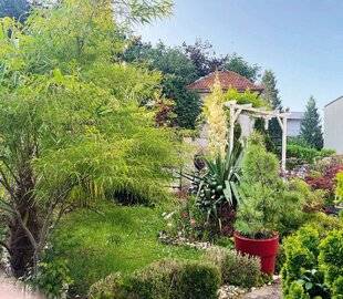 L'Ami des Jardins 1180 TOMBÉE DANS LA MARMITE