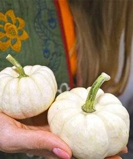 L'Ami des Jardins 1180 DES COURGES POUR LES PETITS JARDINS