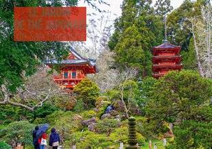 L'Ami des Jardins 1180 LE JARDIN DE THÉ JAPONAIS de San Francisco