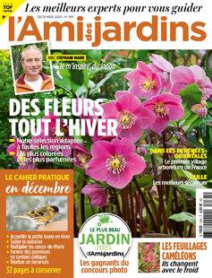 L'Ami des Jardins 1181 DÉCEMBRE 2025 - N° 1181
