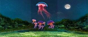 L'Ami des Jardins 1181 Quand les mondes obscurs s'illuminent…