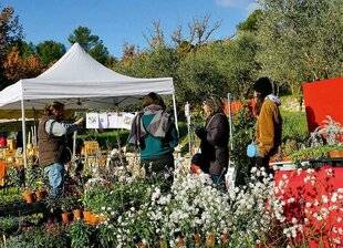 L'Ami des Jardins 1181 Une fête des fruits gourmande
