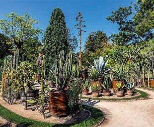 L'Ami des Jardins 1181 Le parc de la Tête d'Or à l'honneur