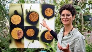 L'Ami des Jardins 1181 Des photos magnifiquement encadrées