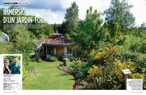 L'Ami des Jardins 1181 IMMERSION AU CŒUR D'UN JARDIN-FORÊT