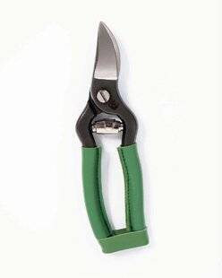 L'Ami des Jardins 1181 Comment bien choisir VOTRE SÉCATEUR