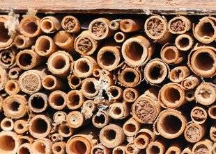 L'Ami des Jardins 1181 MÉNAGER DE BONNES CACHETTES POUR LES INSECTES