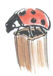 L'Ami des Jardins 1181 UN JARDIN ACCUEILLANT POUR LA PETITE FAUNE EN HIVER