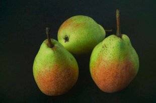 L'Ami des Jardins 1181 UNE POIRE DOUCE ET SUCRÉE