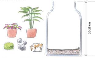 L'Ami des Jardins 1181 OFFRIR UN TERRARIUM FAIT MAISON