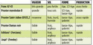 L'Ami des Jardins 1182 LES PORTE-GREFFES DU PRUNIER