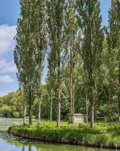 L'Ami des Jardins 1182 Ça se passe en… PICARDIE