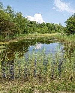 L'Ami des Jardins 1182 Territoires et biodiversité
