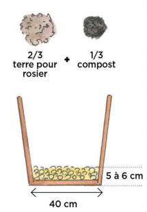 L'Ami des Jardins 1182 UNE RAMBARDE PARFUMÉE