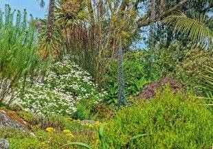 L'Ami des Jardins 1182 LE JARDIN EXOTIQUE ET BOTANIQUE DE ROSCOFF