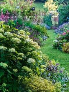 L'Ami des Jardins 1182 Allées et chemins pour bien profiter du jardin