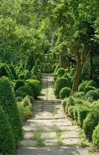 L'Ami des Jardins 1182 Comment décider d'un tracé ?