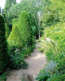 L'Ami des Jardins 1182 Des allées à bien border