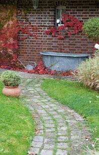 L'Ami des Jardins 1182 Et un peu d'huile de coude !