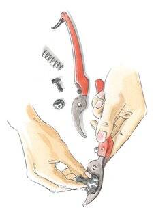 L'Ami des Jardins 1182 AIGUISER VOS SÉCATEURS