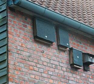 L'Ami des Jardins 1182 INSTALLER UN NICHOIR À CHAUVE-SOURIS