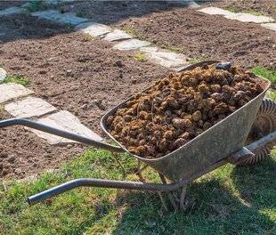 L'Ami des Jardins 1182 ESSAYER LE SEMIS SUR COUCHE CHAUDE