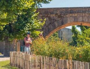 L'Ami des Jardins 1182 AU JARDIN TINCTORIAL DE CARCASSONNE