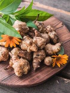 L'Ami des Jardins 1182 LE TOPINAMBOUR délicieux cuit ou cru !