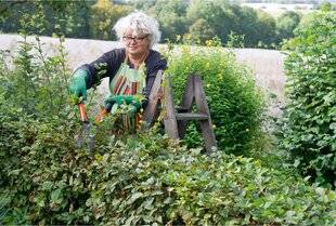 L'Ami des Jardins 1183 À l'automne, on taille…