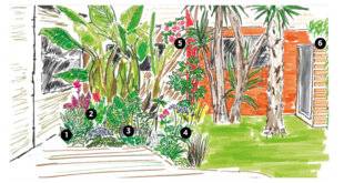 L'Ami des Jardins 1183 CRÉER UN PATIO LUXURIANT