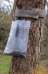 L'Ami des Jardins 1183 Piéger les chenilles processionnaires