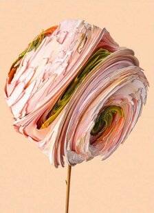 L'Ami des Jardins 1183 Cinq regards sur la nature