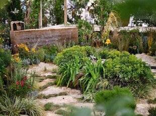 L'Ami des Jardins 1183 Ludovic Orain nommé Maître Jardinier 2025