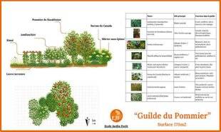 L'Ami des Jardins 1183 Pour accompagner vos projets de jardin-forêt