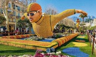 L'Ami des Jardins 1183 Le citron fait son show