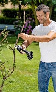 L'Ami des Jardins 1183 Simplifiez la coupe