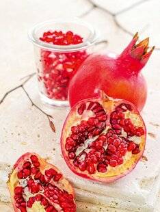 L'Ami des Jardins 1183 LE GRENADIER