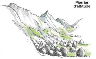 L'Ami des Jardins 1183 DONNER UN ASPECT NATUREL À VOTRE ROCAILLE