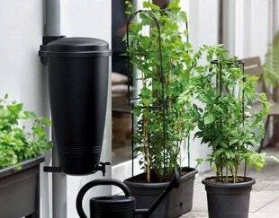 L'Ami des Jardins 1183 Du plus petit au plus grand