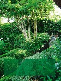 L'Ami des Jardins 1183 UNE ANNÉE DE TAILLE