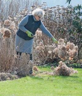 L'Ami des Jardins 1183 Au printemps, on taille…