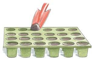 L'Ami des Jardins 1183 SEMER EN PLAQUES DE CULTURE