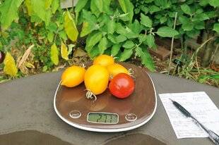 L'Ami des Jardins 1183 UNE BALANCE TRÈS UTILE