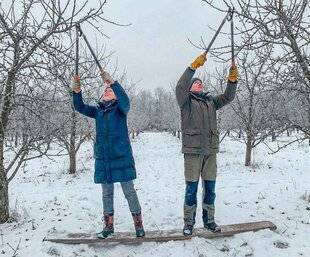 L'Ami des Jardins 1183 COMMENT NE PAS TASSER LE SOL ?