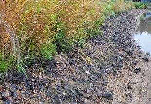 L'Ami des Jardins 1183 QUAND L'EAU NE REVIENT PAS EN HIVER