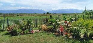 L'Ami des Jardins 1183 JE CRÉE MON JARDIN