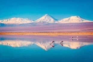 L'Ami des Jardins 1184 Volcan et flamants