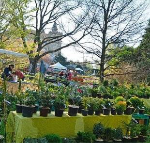 L'Ami des Jardins 1184 Tous au château !