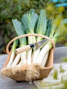 L'Ami des Jardins 1184 LE POIREAU, un légume indispensable